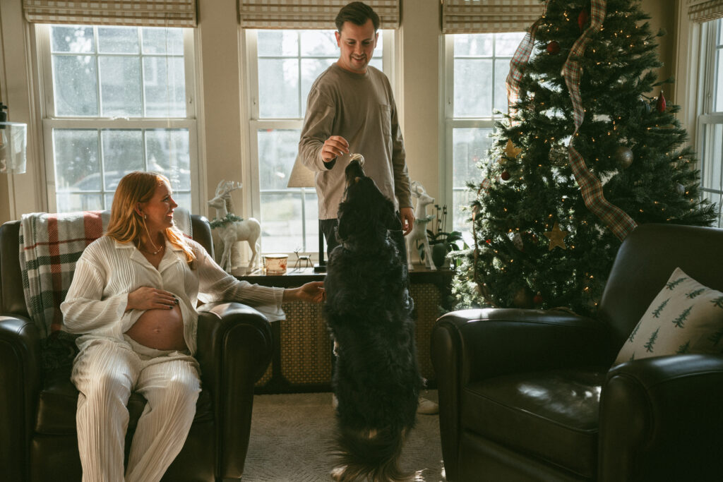 husband and wife playing with their dog using the ornaments